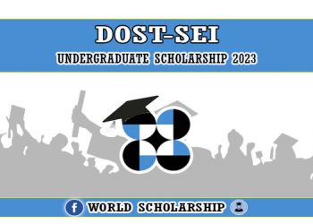 Undergraduate Scholarship 2023
